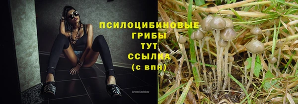 круглые Богородицк