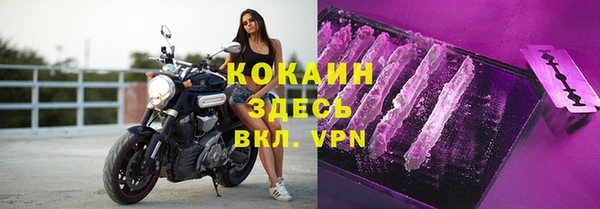 a pvp Богданович