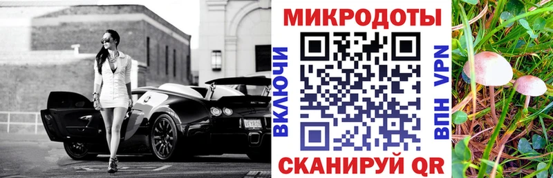 Галлюциногенные грибы MAGIC MUSHROOMS  Купить  Спас-Клепики 